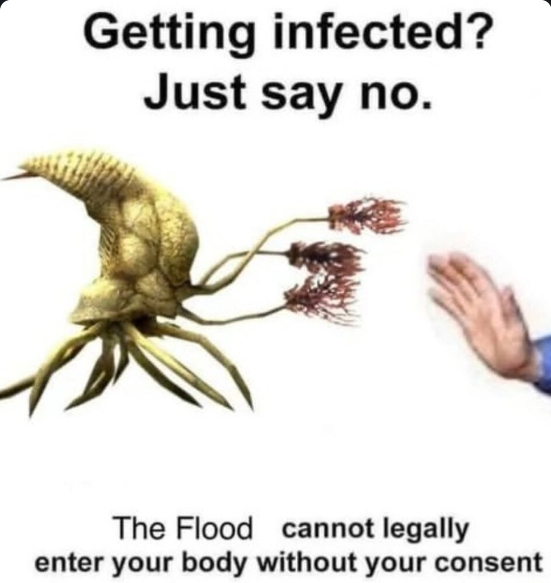 NobleActua🄻 (@nobleactuai) on Twitter photo 