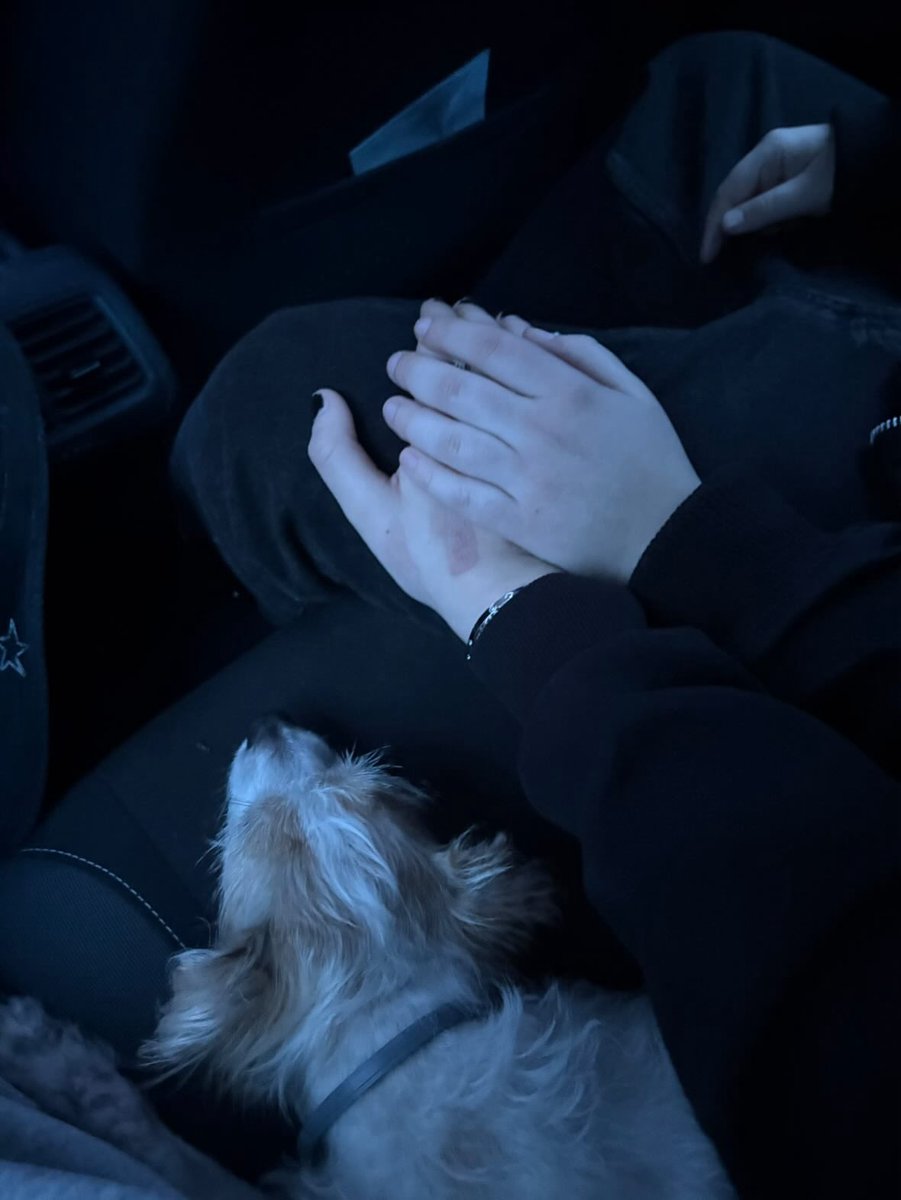 en la calle 1 bandolero
en el amor 1 cariño