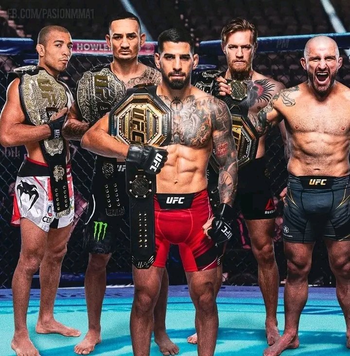 The Fight Fanatic tweet media