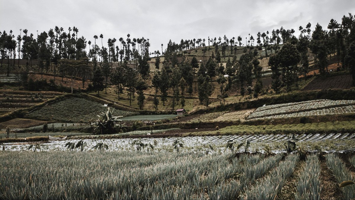 ShamisoRuze's tweet photo. 🌿 Davos takeaway: Partnerships matter, but not all deliver. Nature-positive outcomes need co-ownership, not coordination. #Davos #Partnerships Read more https://t.co/pTWPcB7rqL https://t.co/hi8y34GjEZ
