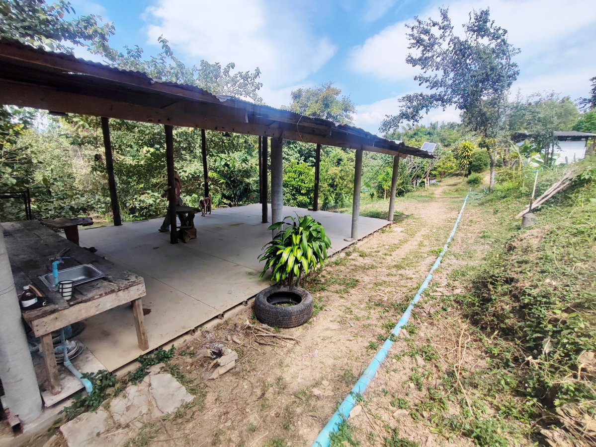 jub_nature's tweet image. พื้นที่บริเวณลานชั้น 3 มีเพิงพักนั่งเล่น และสามารถทำกิจกรรมกลุ่ม หรือคู่ได้ครับ