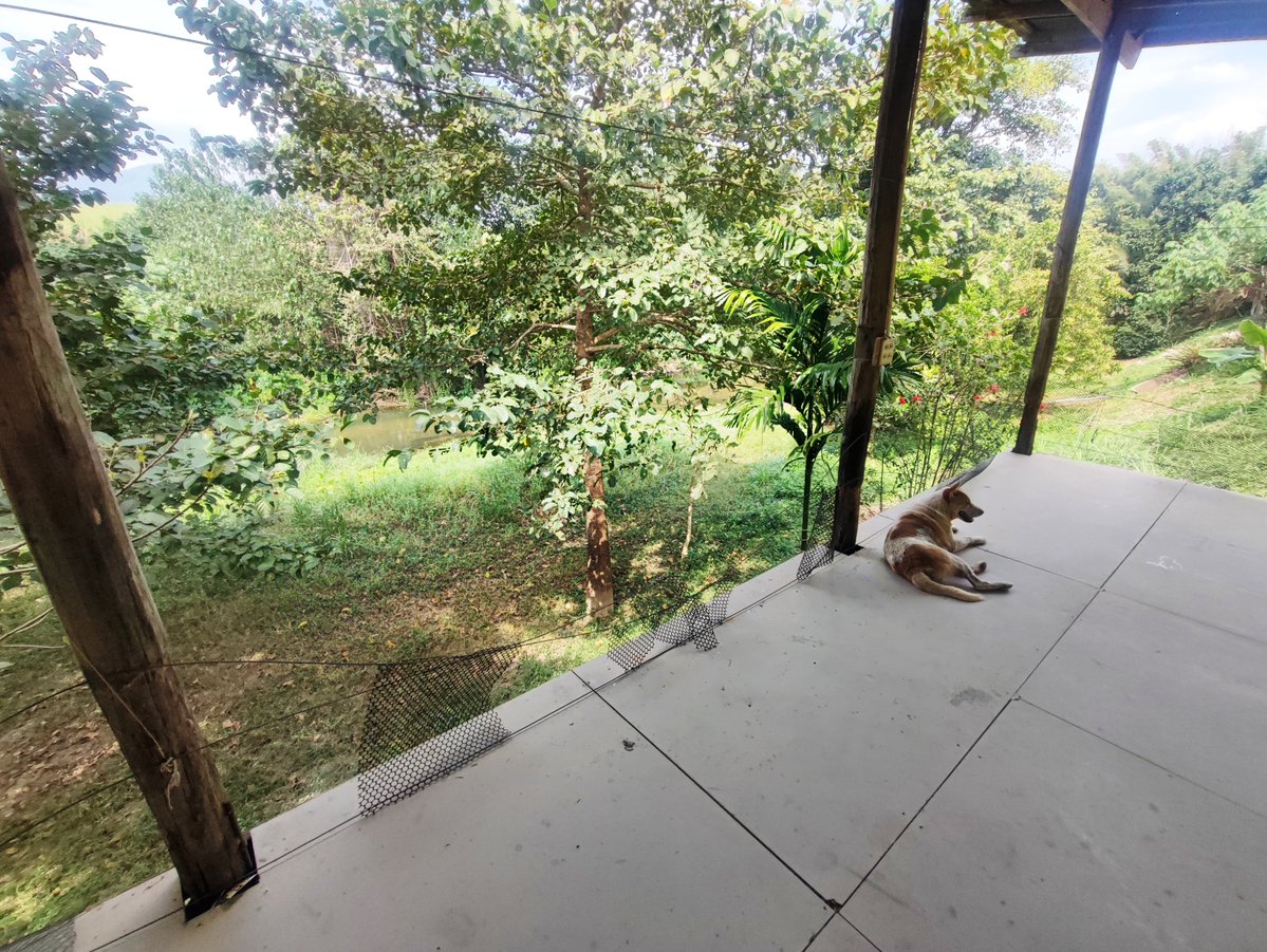 jub_nature's tweet image. พื้นที่บริเวณลานชั้น 3 มีเพิงพักนั่งเล่น และสามารถทำกิจกรรมกลุ่ม หรือคู่ได้ครับ