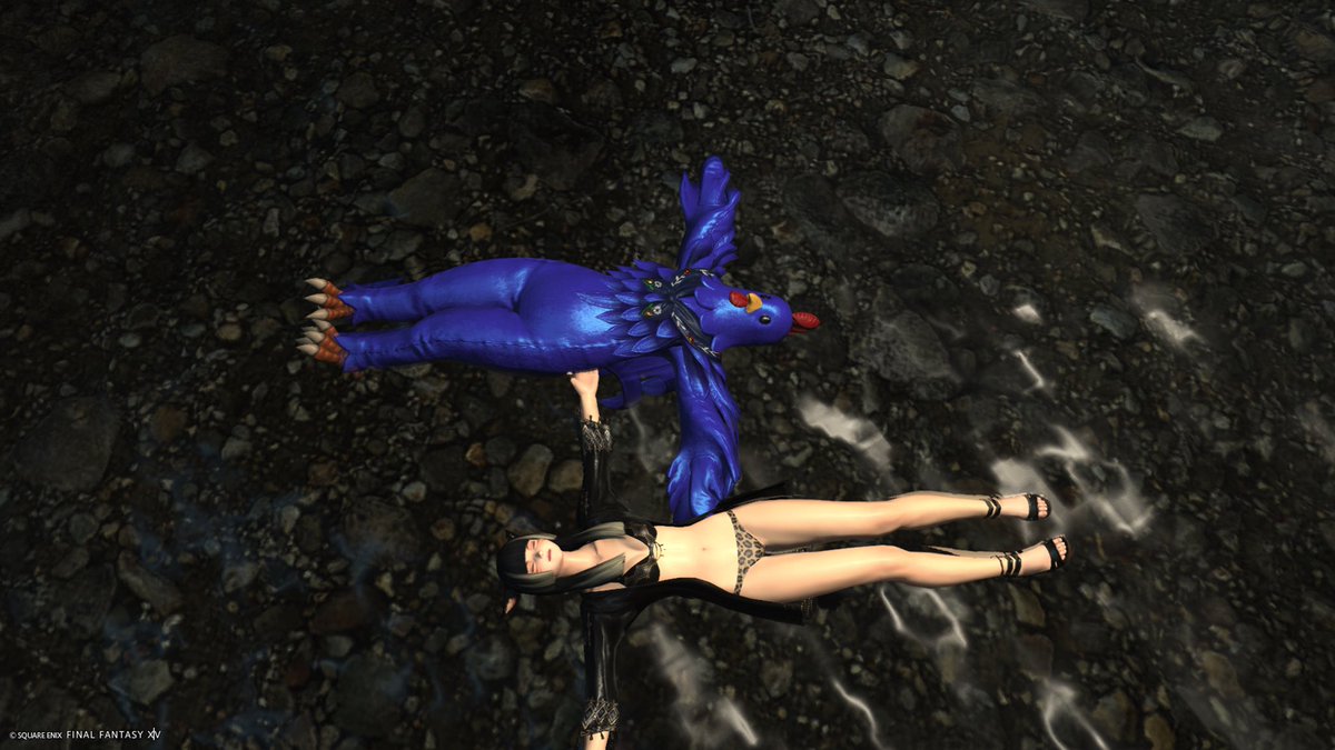 Mocha_74 🜸 tweet media