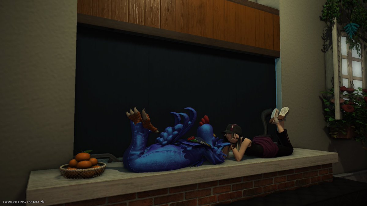 Mocha_74 🜸 tweet media