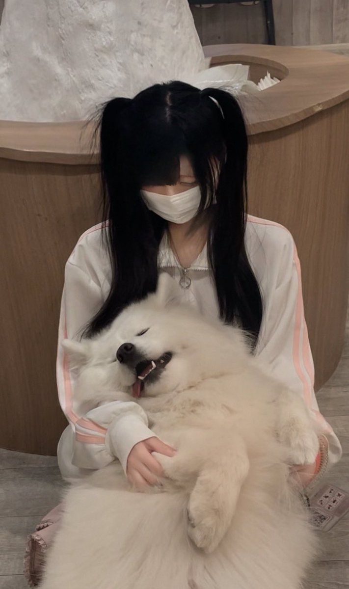 情けない犬 (@rose1ia__) on Twitter photo 