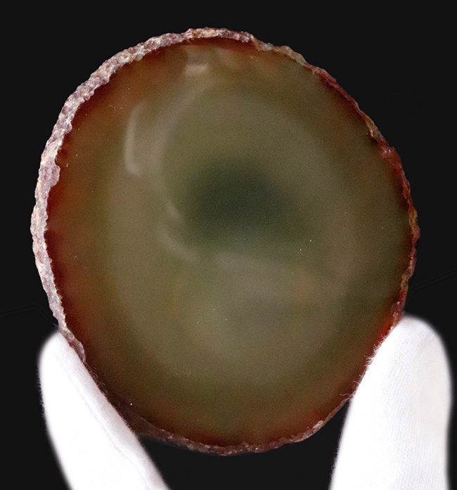 コレクター必見！！！正体不明  肉のような水石 日本水石名品展 | みさきのミニ盆栽遊び