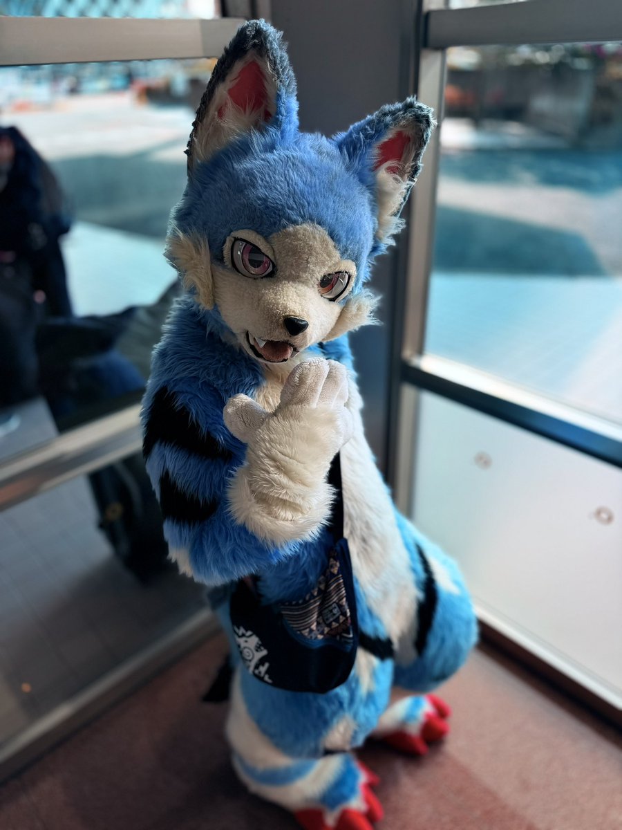 ①もぉふもぉふ222 ICEPARTNER2 185/65R15 青668 BRIDGESTONE