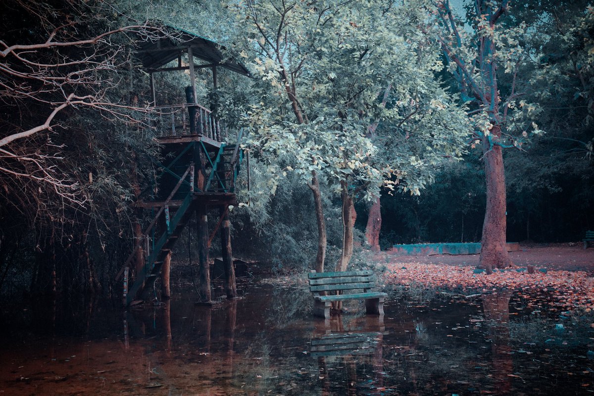 Ajaysemili's tweet photo. Reconnect with nature within built environments. #Banabihar #Bhanjanagarpark @odisha_tourism @park #NatureIsAwesome https://t.co/GPYiFWErhM