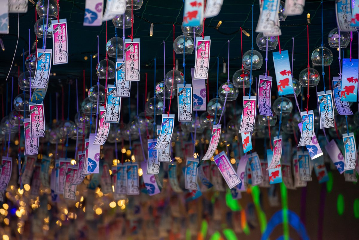mushiro_nami's tweet image. いつか見た夏の音色

#百々音まつり
#Nikon
#d750
