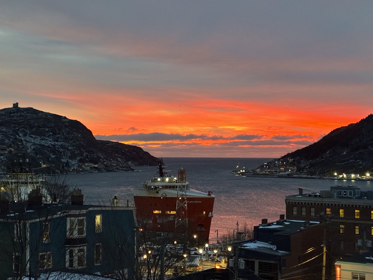 Francesca Swann tweet media