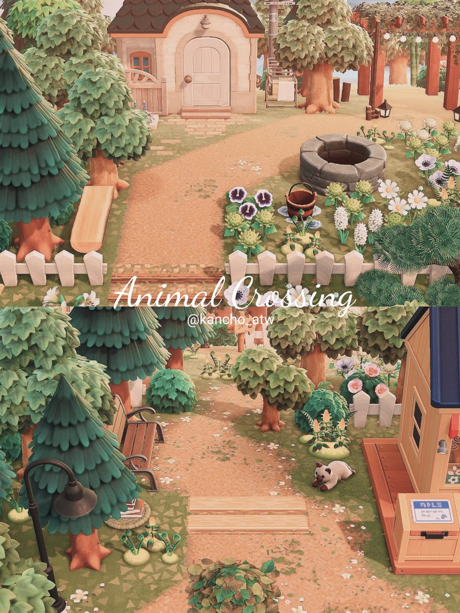 𝐊𝐚𝐧𝐜𝐡𝐨 tweet media