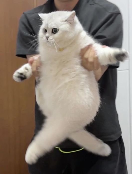 weeeeeee