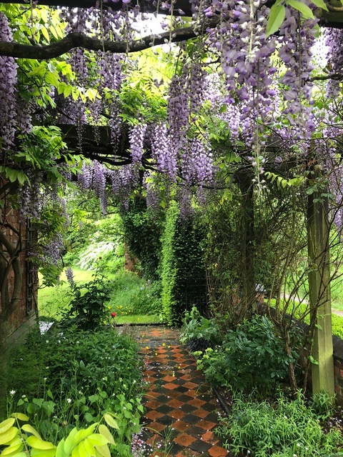 Red Cross Events tweet media