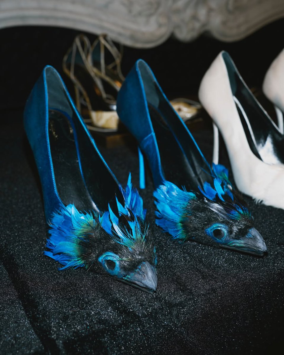 izzah_vl's tweet photo. a closer look at the heels from schiaparelli ss'26 couture 🪶 https://t.co/FfktaYuKI0