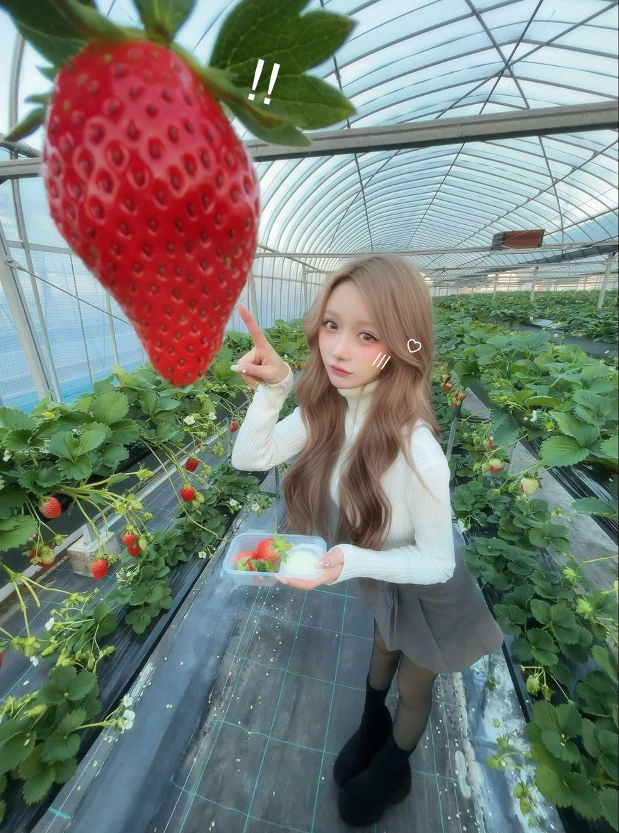 Lian__oO's tweet photo. いちご狩り広角フォト🍓*･゜♡ https://t.co/3joH5eQwZ9