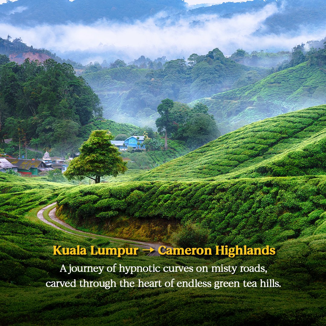 Trip's tweet image. Hit the road. Malaysia's calling with epic drives from cool mountain escapes to warm coastal paradise. Which route are you taking first? Learn more at trip.com/travel-guide/d…