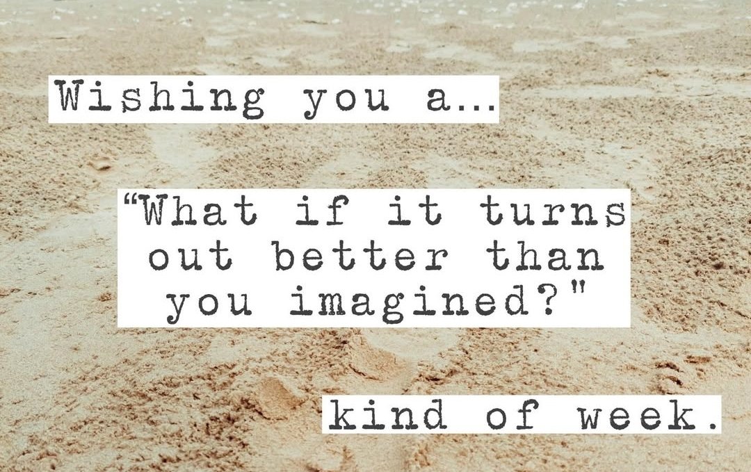 Lisa Chandler tweet media