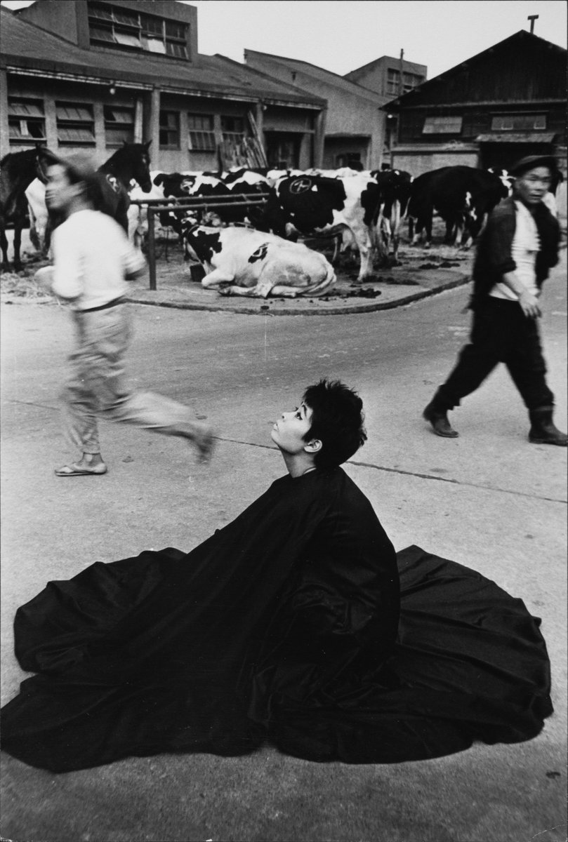 【NEXT EXHIBITION】

深瀬昌久「洋子／遊戯」

2026年1月28日[水]－2月18日[水] 時間：13:00-19:00 休廊：月・火  企画：コンタクト 協力：深瀬昌久アーカイブス、富士フイルム株式会社