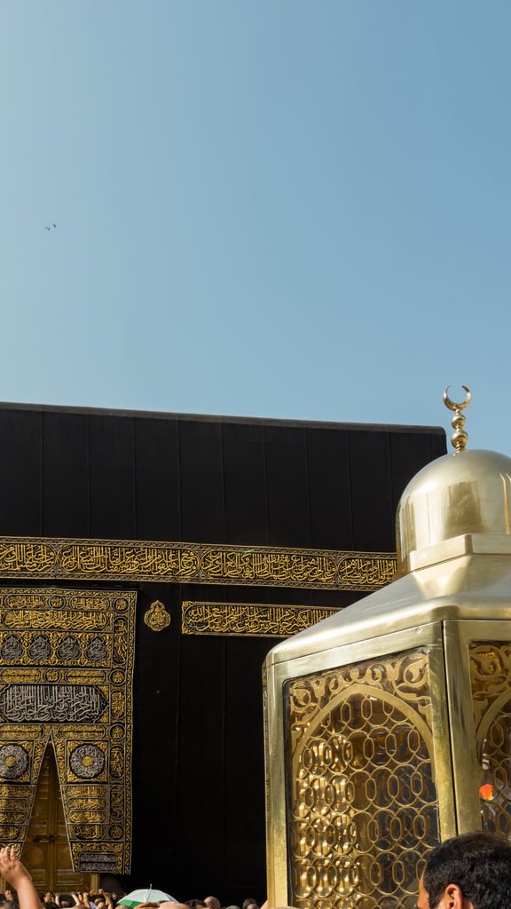 هزاع. tweet media