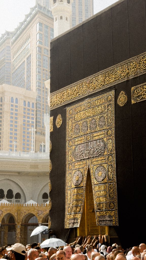 هزاع. tweet media