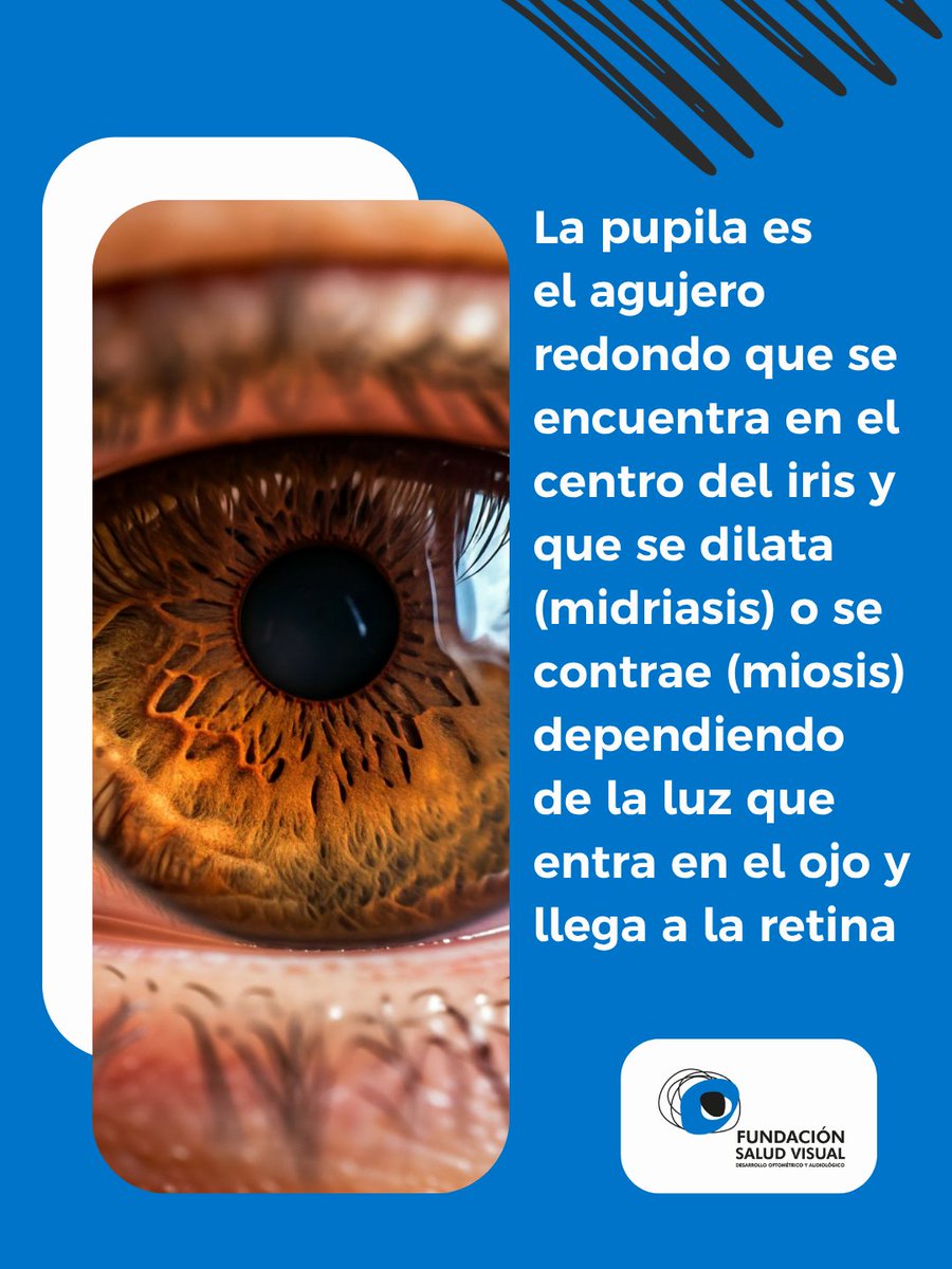 👀 🌞 ¿Sabías que la pupila cambia de tamaño según la luz que te rodea?

❗ Funciona como el diafragma de una cámara: se abre o se cierra para regular cuánta luz entra al ojo.

#Funsavi #SaludVisual #Visión
