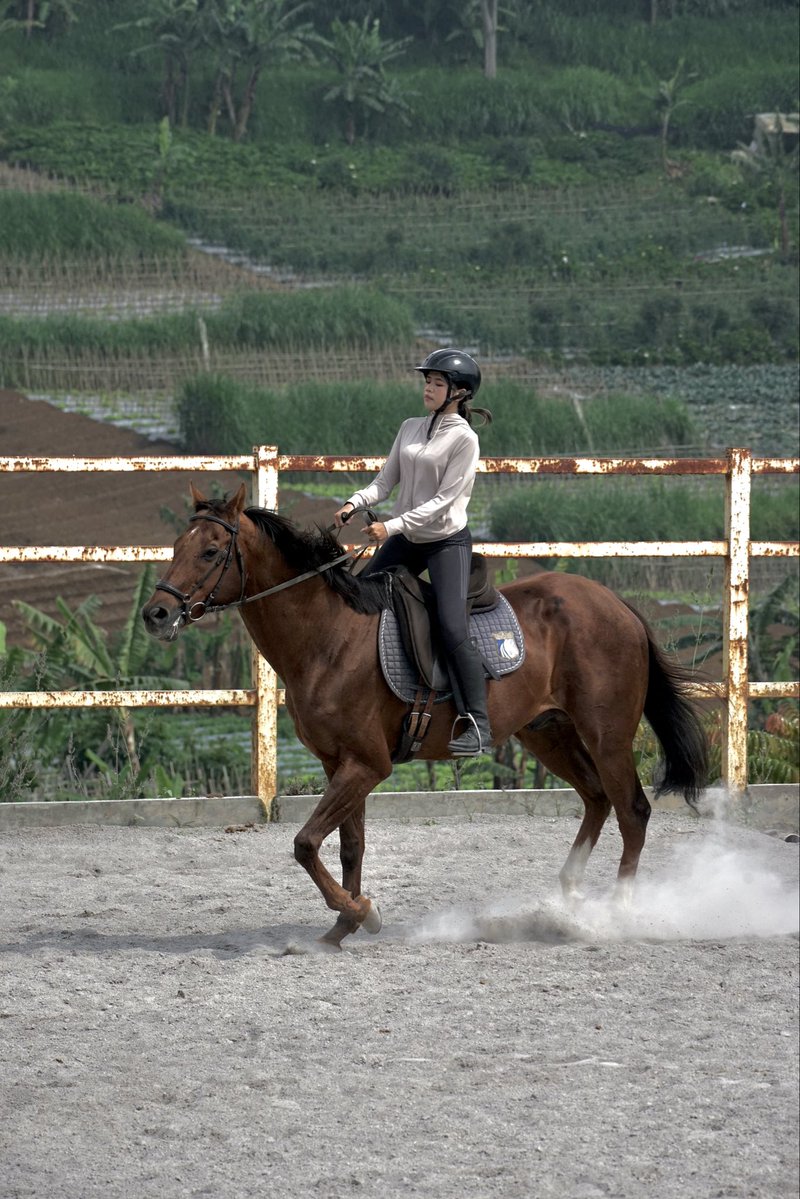 codigobabe's tweet image. jujur kangen bgt, dulu nick name nya ‘adel berkuda’ WKWK