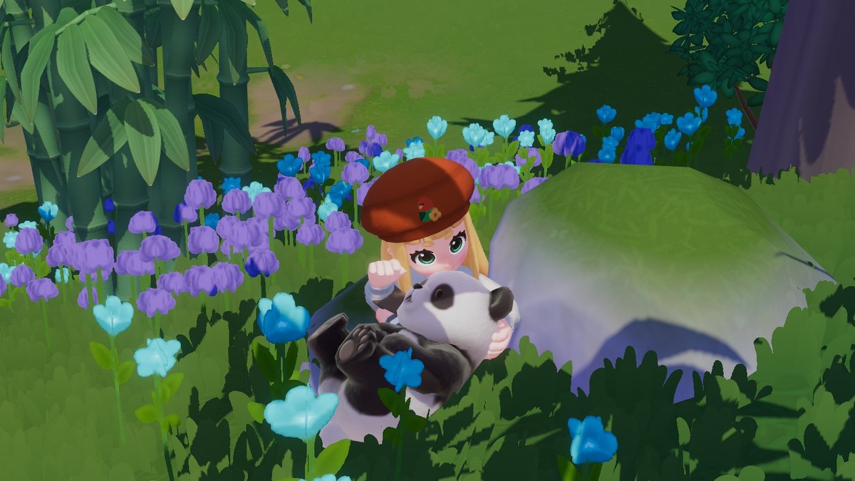 めめたんちゃん🦊🤍 (@s__mmtn) / Posts / X