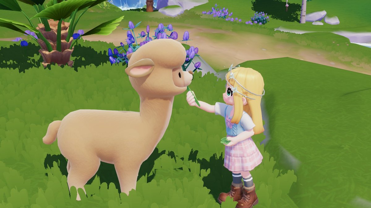 めめたん めめたんちゃん🦊🤍 (@s__mmtn) / Posts / X