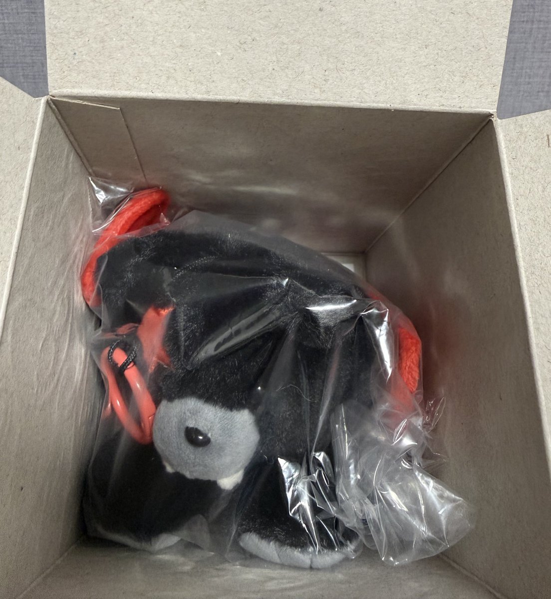 soso🐈‍⬛🖤 tweet media