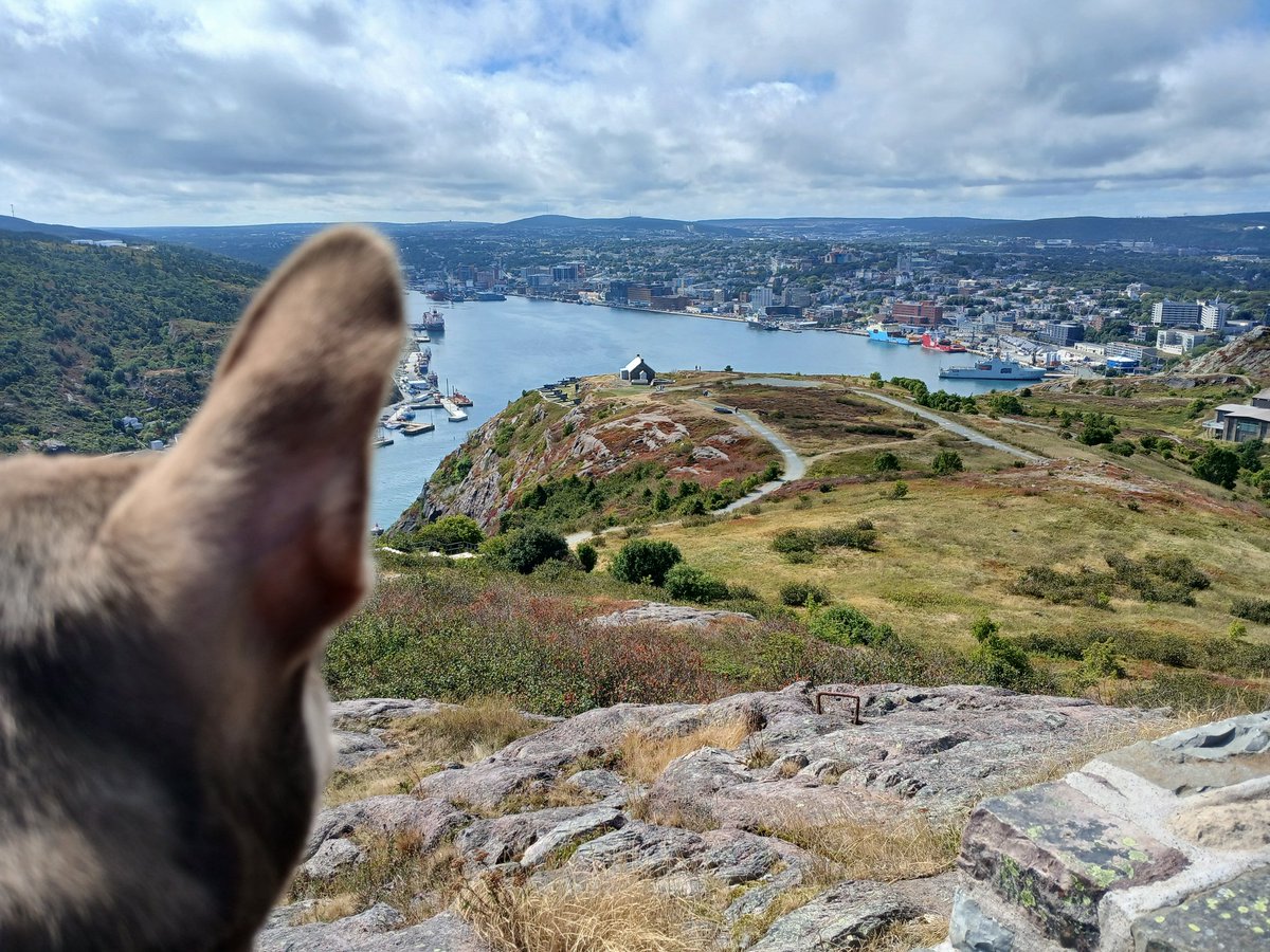 𝔈𝔱𝔥𝔞𝔫𝔰𝔥𝔬𝔯𝔱𝔷 (@ethanshortz) on Twitter photo 