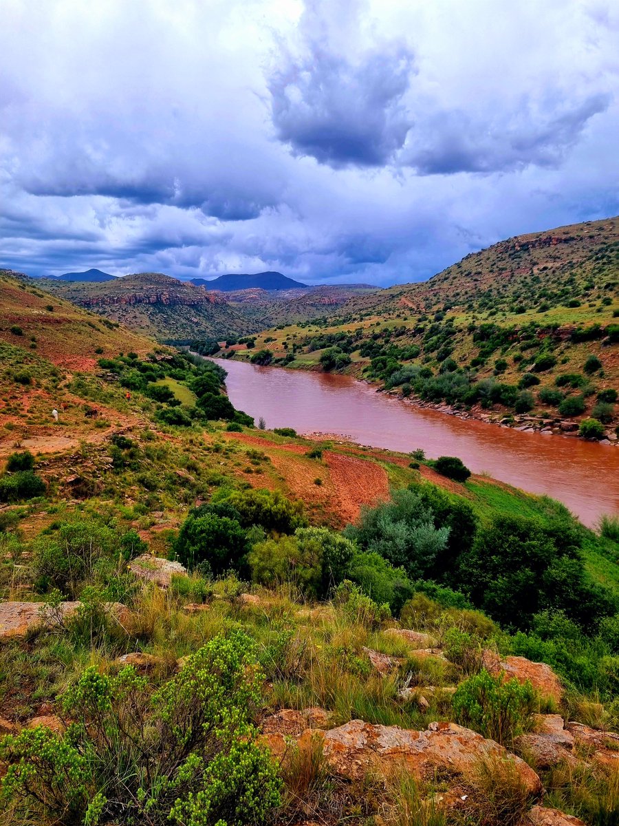 Lesotho.ls tweet media