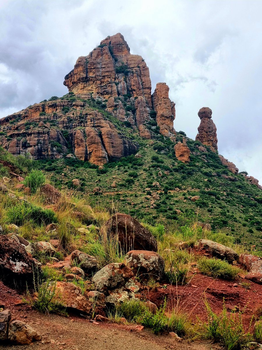 Lesotho.ls tweet media