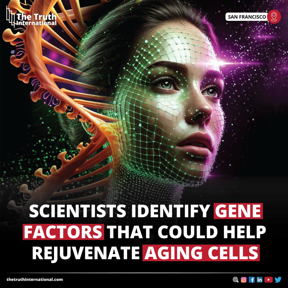 ttimagazine's tweet image. Scientists Identify Gene Factors That Could Help Rejuvenate Aging Cells

FOR MORE DETAILS: thetruthinternational.com/scientists-ide…

#Scientists #Identify #Gene #Factors #Help #Rejuvenate #Aging #Cells #SanFrancisco #TTI
