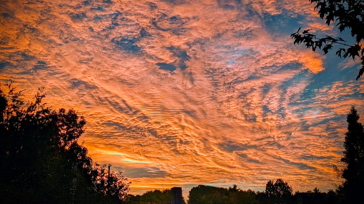 #AlphabetChallenge
#WeekDforDramatic

Drama in the east