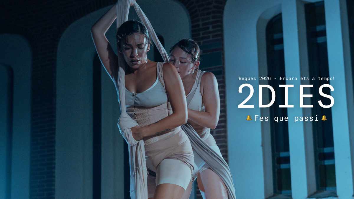 Festival Nosaltres tweet media