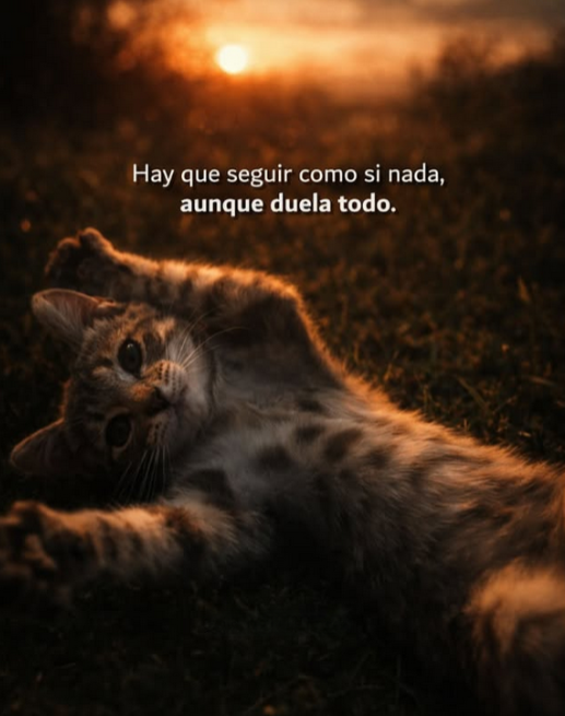 HOMBRES (@hombres) on Twitter photo 