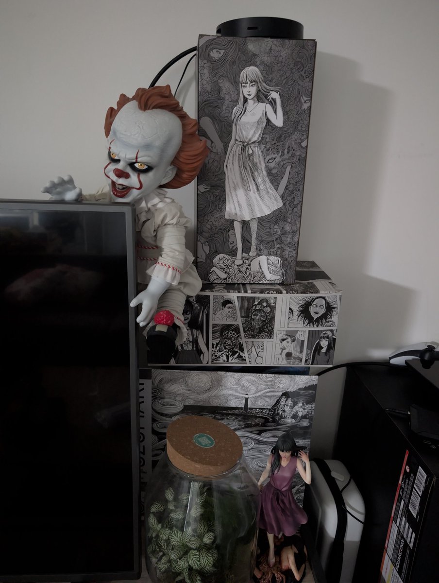 I moved to a new house recently and damn, I’m going to need more bookshelves! I've still got my massive collection of History books and classical Literature in cardboard boxes. 

Plus, all my Legacy of Kain, Final Fantasy, and Hazbin Hotel merch (Radiostatic &amp; Murder Media)🥺😭