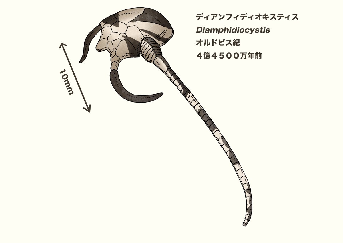 北村雄一の火星人宣伝ラジオ　Radio Martian tweet media