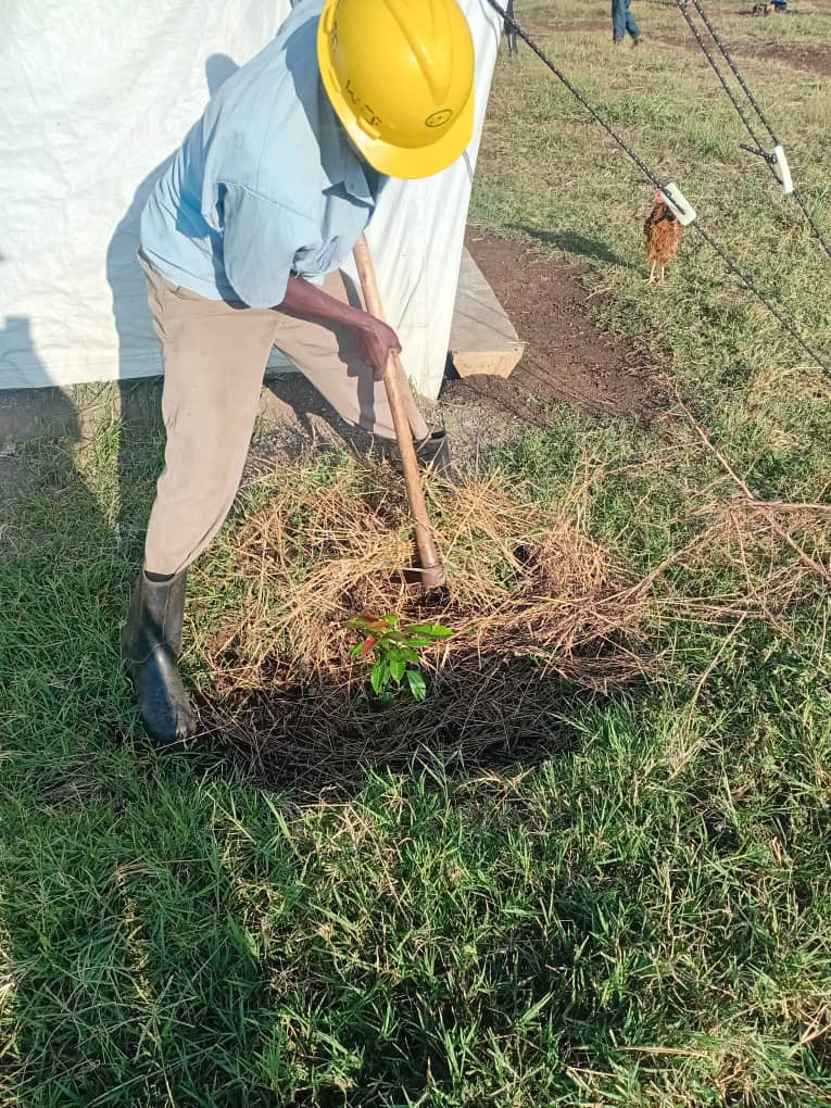 Rotaract club of busitema university tweet media