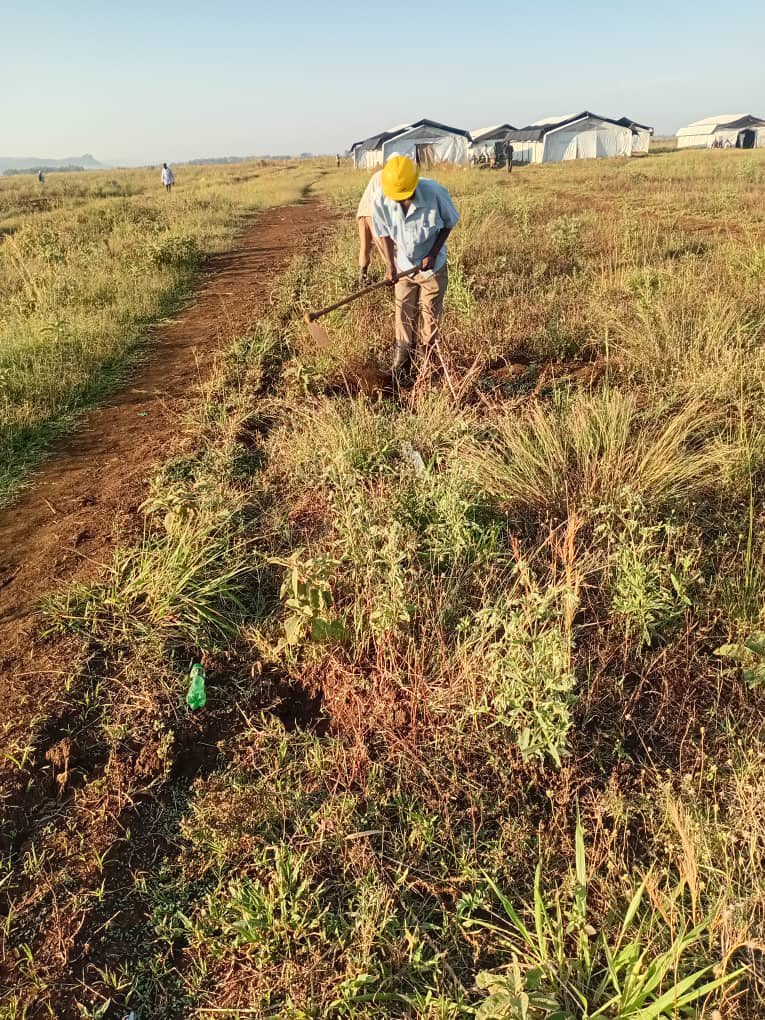 Rotaract club of busitema university tweet media