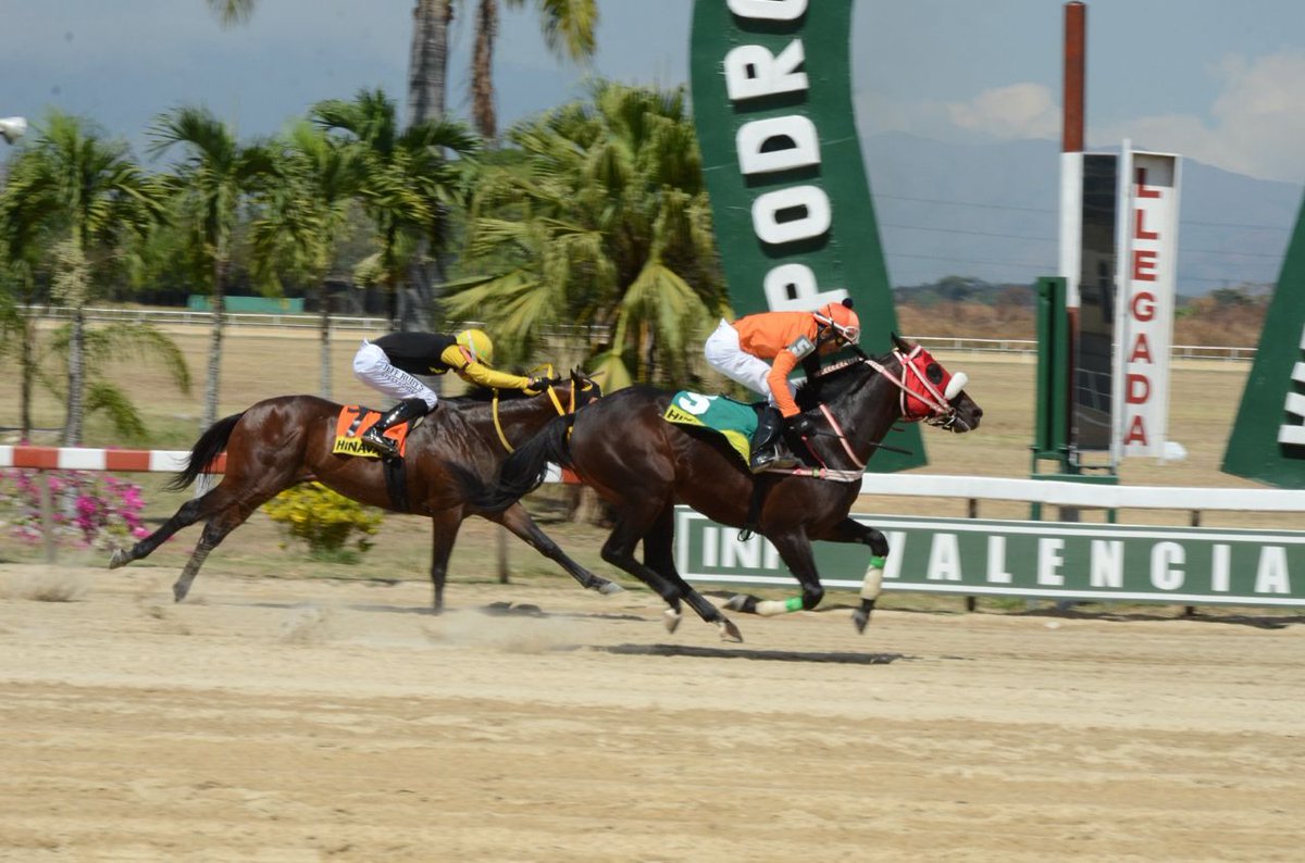 Haras La Primavera🇻🇪🏆 tweet media