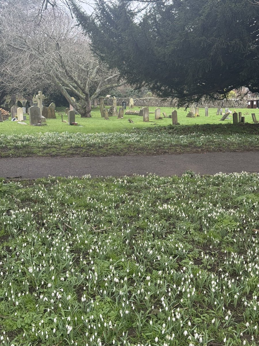 music@malling tweet media