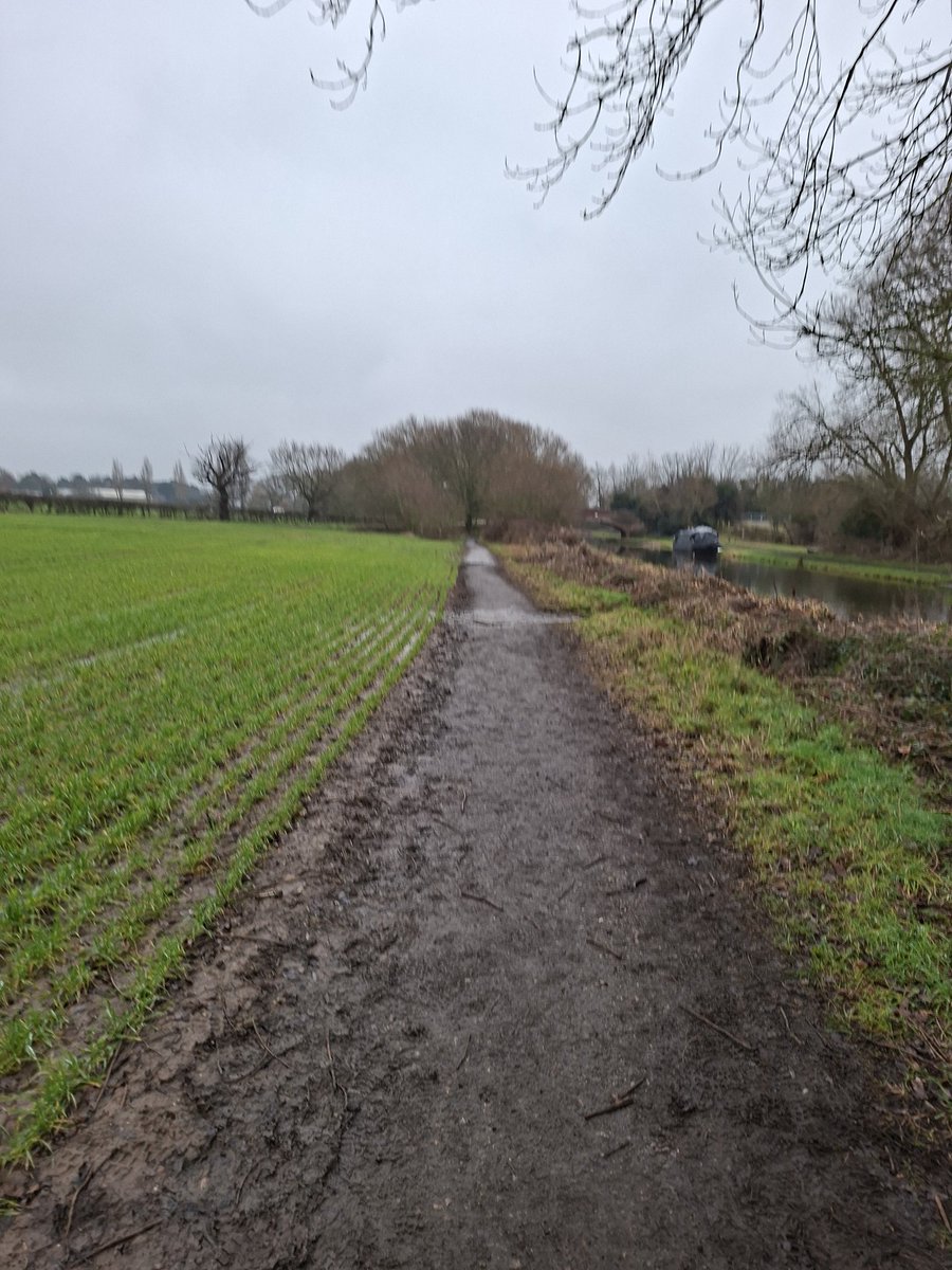 Andrew Bell tweet media