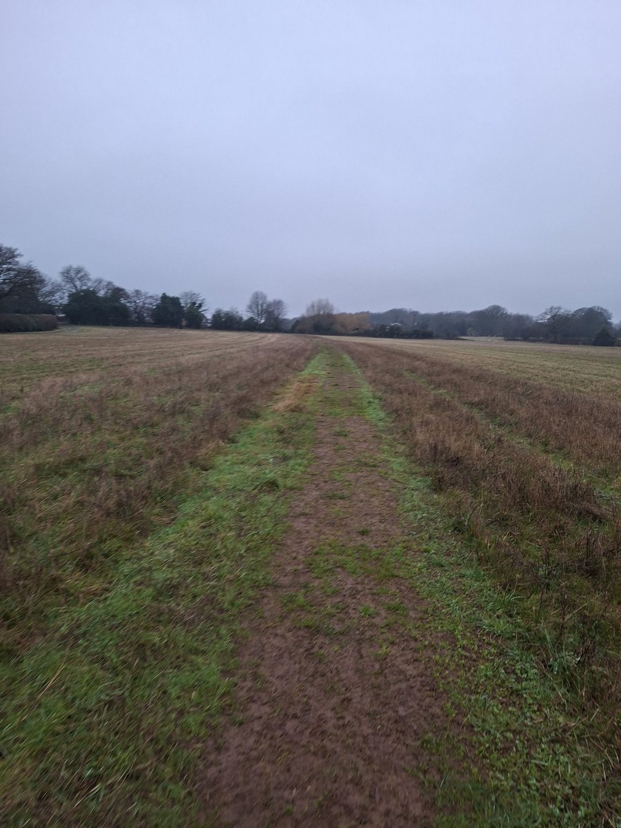 Andrew Bell tweet media