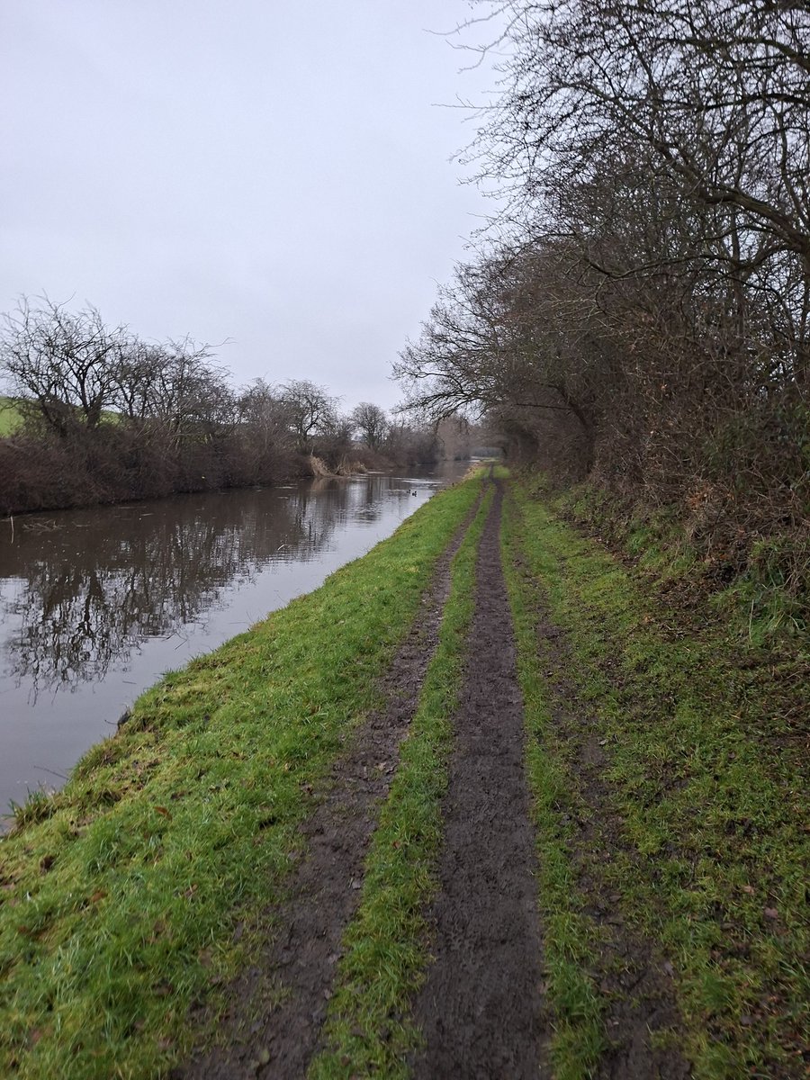 Andrew Bell tweet media