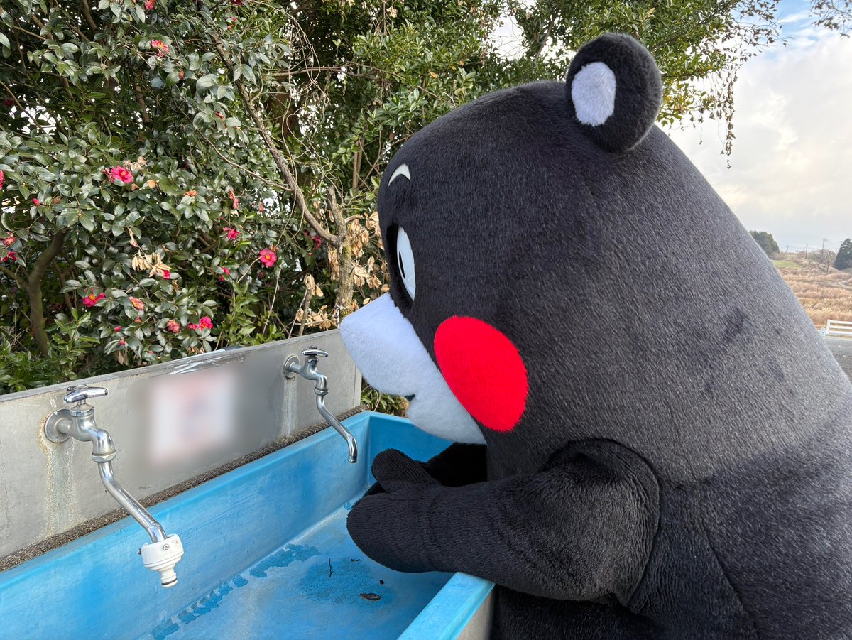 🐢こいずみりく (@RikuKoizumi) / Posts / X