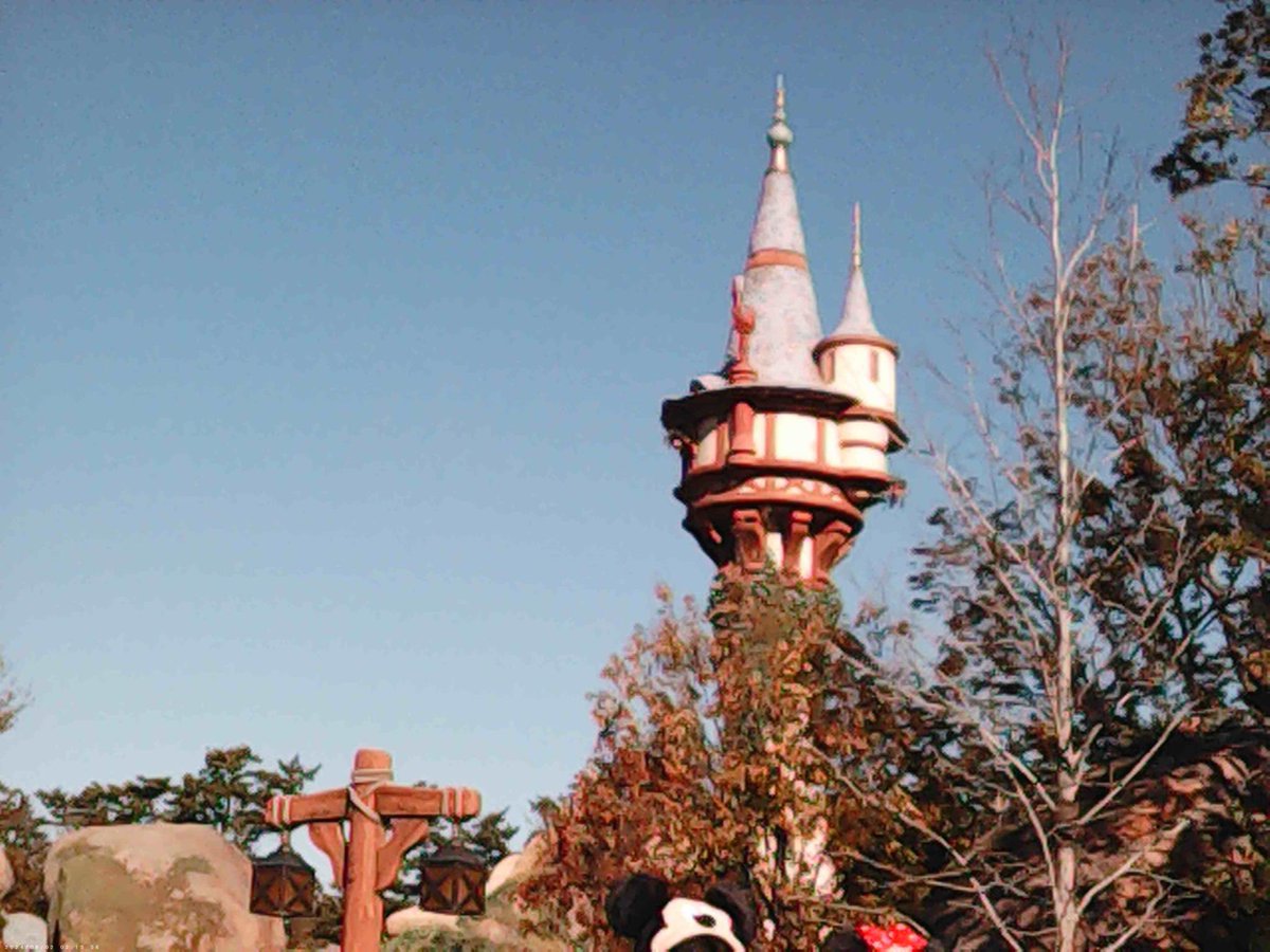 あーこ tweet media