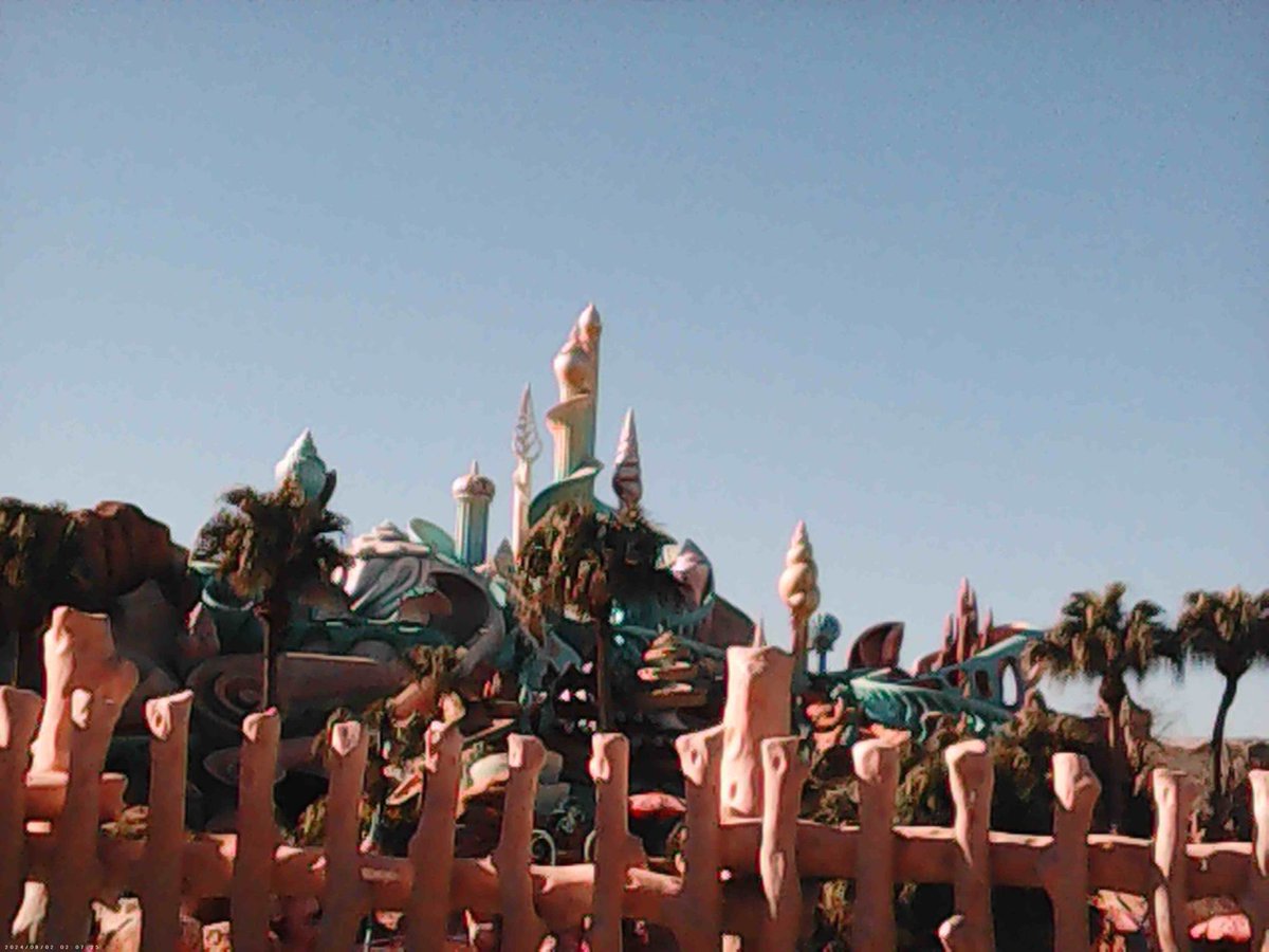 あーこ tweet media