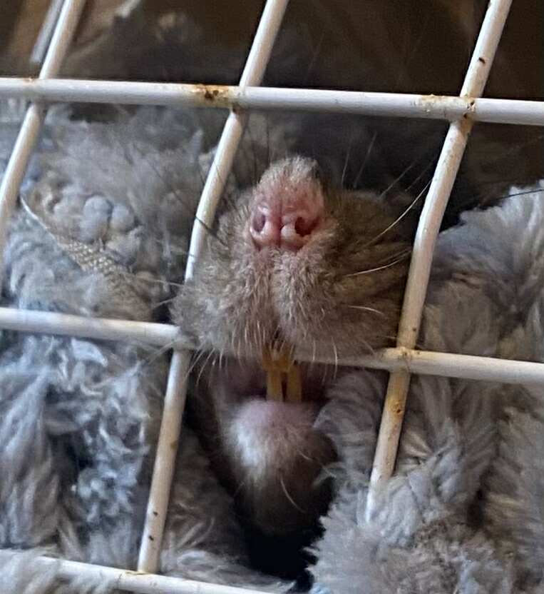 No zrobiłem dziurę w kocu, ale żeby od razu za kraty?
😄😄