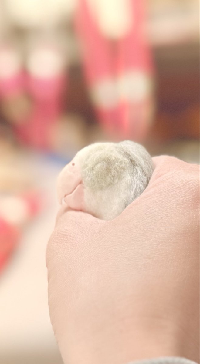 まぶたの色が濃すぎたので、修正。
手がガサガサ💦
#羊毛フェルト
#マメルリハ